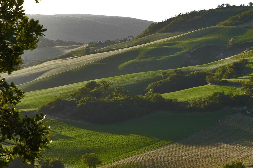 B&B Antegiano Belforte del Chienti Bagian luar foto